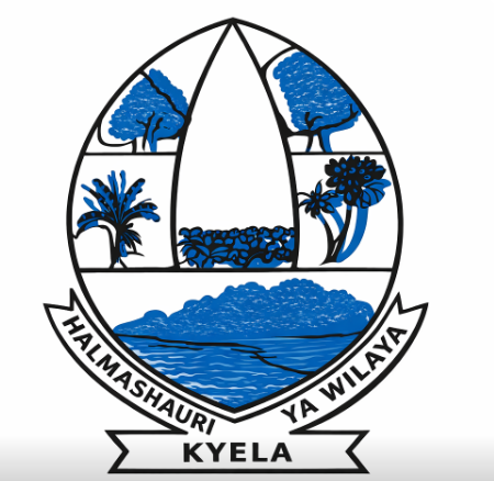 Job Vacancies at Kyela District Council February 2025