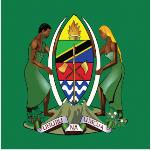 Volunteer Job Vacancies at Ruangwa District Council February 2026