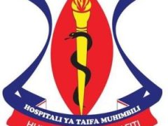 Job Vacancies at Muhimbili National Hospital March 2026