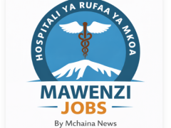 Mawenzi Regional Referral Hospital Job Vacancies April 2026