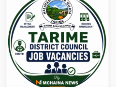 Tarime District Council Announces 12 Job Vacancies April 2026