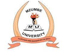 Job Opportunities at Mzumbe University – May 2026