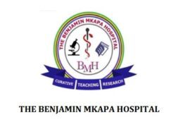 Job Vacancies at Benjamin Mkapa Hospital (BMH) June 2026