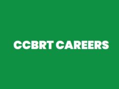 CCBRT Health Volunteer – Assistant Nursing Officer Jobs June 2026 (25 Posts)