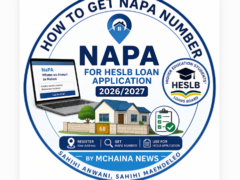 How To Get NAPA Number for HESLB Loan Application 2026/2027