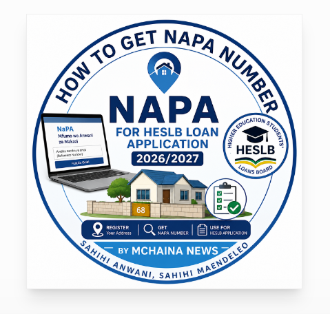 How To Get NAPA Number for HESLB Loan Application 2026/2027
