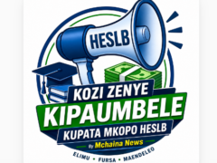 Kozi Zenye Kipaumbele Kupata Mkopo HESLB 2026/2027