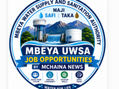 Mbeya UWSA Volunteer Opportunities 2026 (36 Posts) – Apply Before 20 July 2026